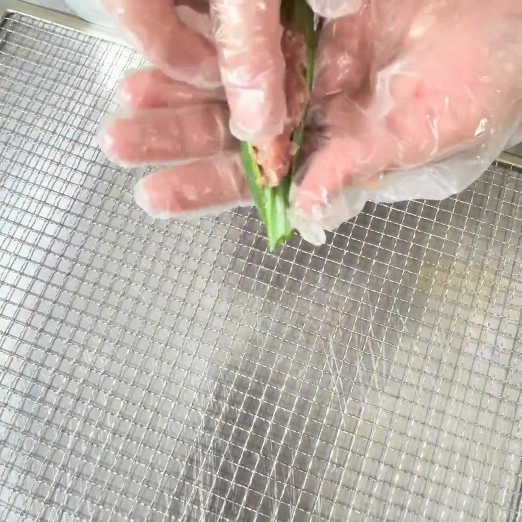 위생 장갑을 낀 손으로 반으로 가른 오크라 속에 오리고기 반죽을 채워 넣는 모습.