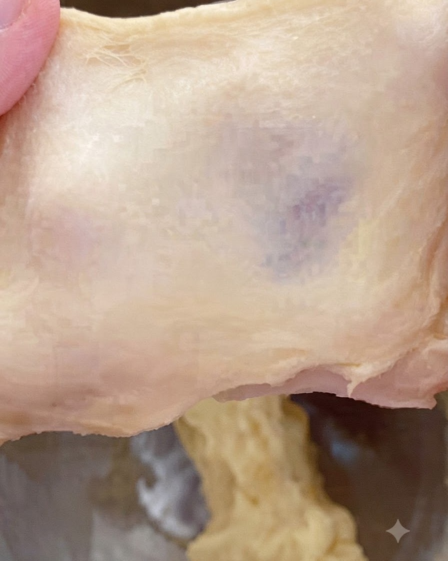 두껍고 약간 거친 질감과 찢어지는 패턴을 보여주기 위해 반죽 조각을 늘리고 있는 모습.